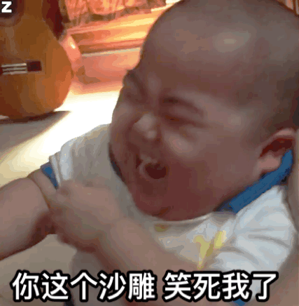 Z你这个沙雕笑死我了（Z你这个沙雕笑死我了）