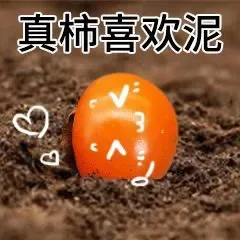 真柿喜欢泥