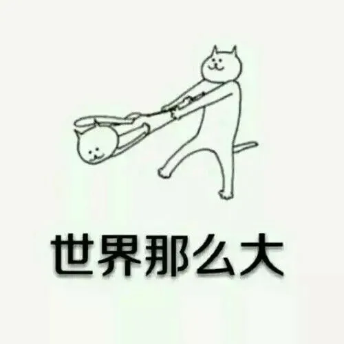 世界那么大，你应该去看看 － 神经猫_神经猫表情包