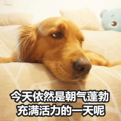 今天依然是朝气蓬勃充满活力的一天呢（今天依然是朝气蓬勃充满活力的一天呢）