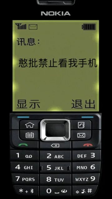 憨批禁止看我手机（诺基亚手机锁屏壁纸）