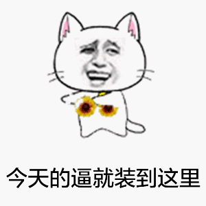 今天的逼就装到这里（今天的逼就装到这里）