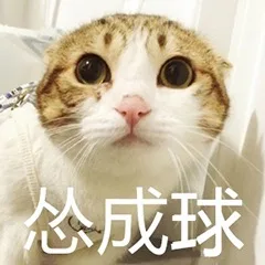 怂成球（怂成球）