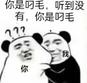 你是叼毛，听到没有，你是叼毛17我你（你是叼毛，听到没有，你是叼毛17我你）