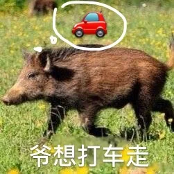 爷想打车走（爷想打车走）