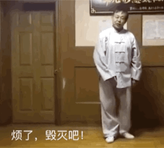 马保国动图