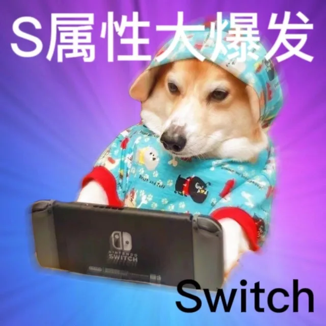 S属性大爆发Rough and TuffSWITCHSwitch（S属性大爆发Rough and TuffSWITCHSwitch）