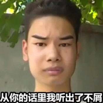 从你的话里我听出了不屑（从你的话里我听出了不屑）