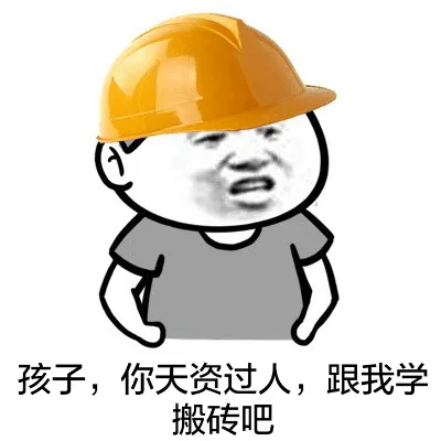 孩子，你天资过人，跟我学板砖吧