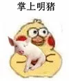 小黄鸡抱猪猪