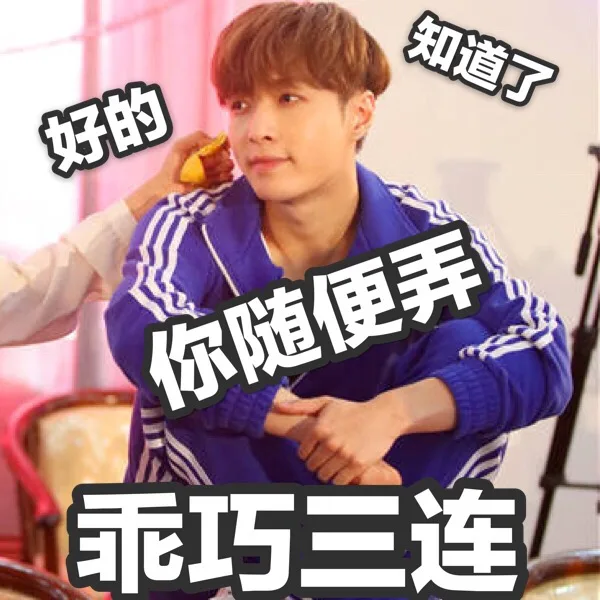 乖巧三连：好的，知道了，你随便弄