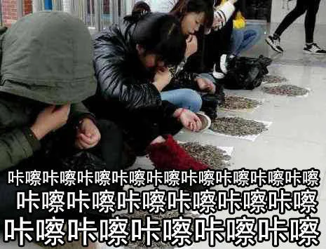 咔嚓卡擦咔嚓卡擦（咔嚓卡擦咔嚓卡擦）