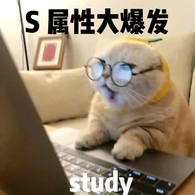S属性大爆发study小（S属性大爆发study小）