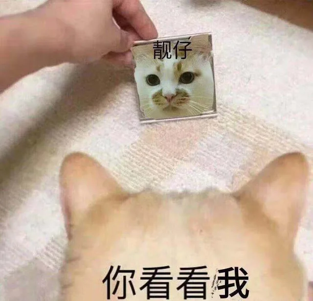 你看看我，靓仔（猫咪表情包）