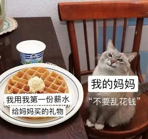 我的妈妈我用我第一份薪水不要乱花钱给妈妈买的礼物