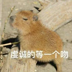 虔诚的等一个吻(水豚表情包)（虔诚的等一个吻(水豚表情包)）