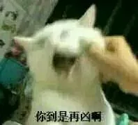 你倒是再凶啊（捏脸 - ）