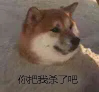 狗子：你把我杀了吧（狗子：你把我杀了吧）