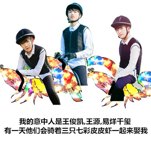 我的意中人是王俊凯、王源、易烊千玺，有一天他们会骑着三只七彩皮皮虾一起来娶我