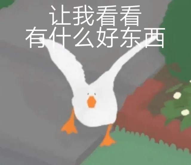 让我看看有什么好东西（让我看看有什么好东西）