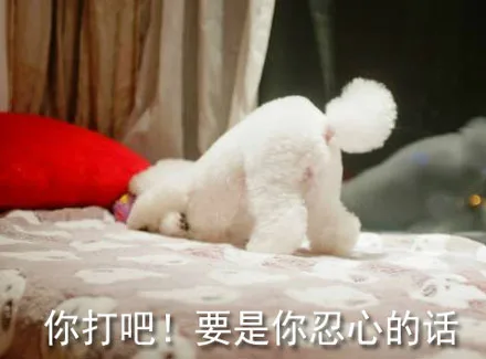 你打吧！要是你忍心的话（你打吧！要是你忍心的话）