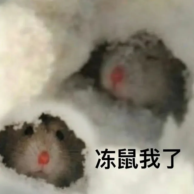 冻鼠我了（冻鼠我了）