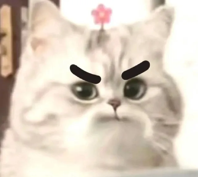 微笑小猫表情包