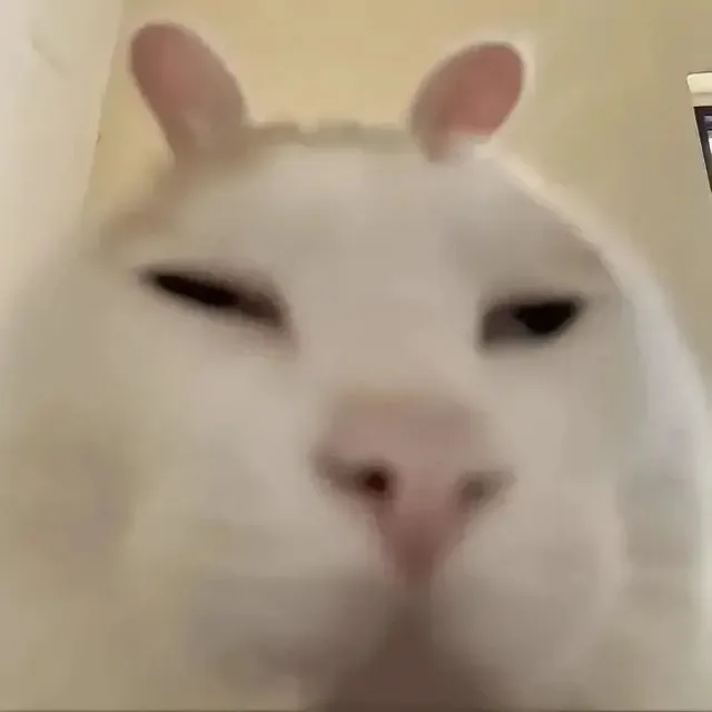 （未命名表情包）