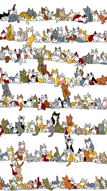一大波猫咪手机壁纸
