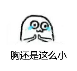 胸还是这么小（胸还是这么小）