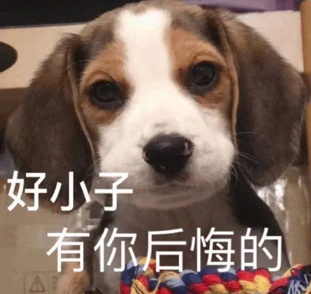 好小子有你后悔的