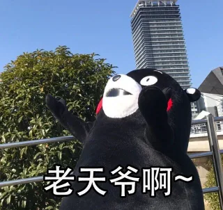 老天爷啊