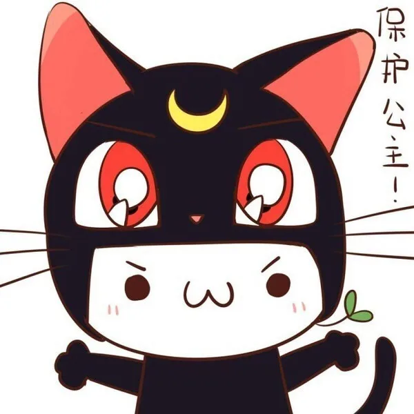保护公主！