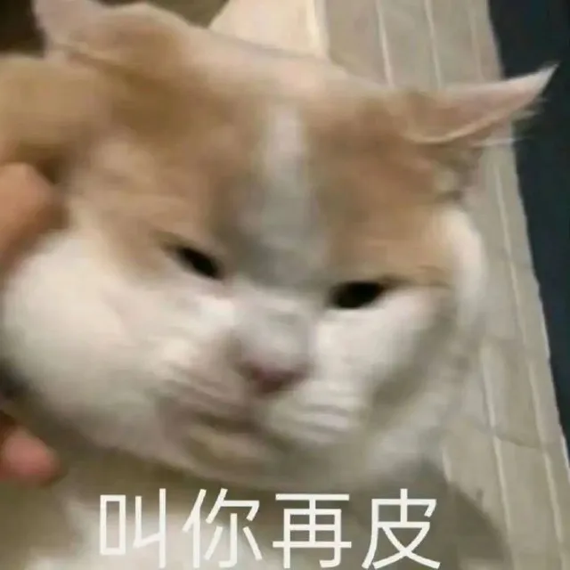 叫你再皮（叫你再皮）