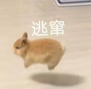 逃窜(猫猫表情包)（逃窜(猫猫表情包)）