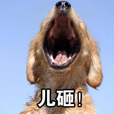 儿砸!