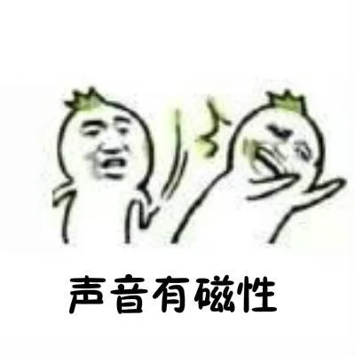 声音又磁性（声音又磁性）