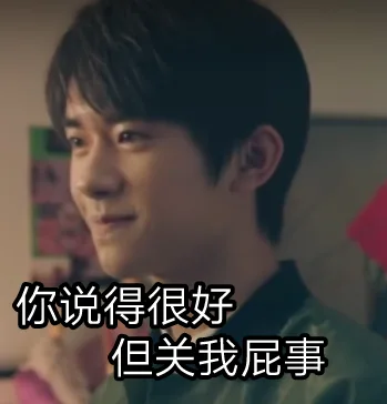 你说得很好但关我屁事
