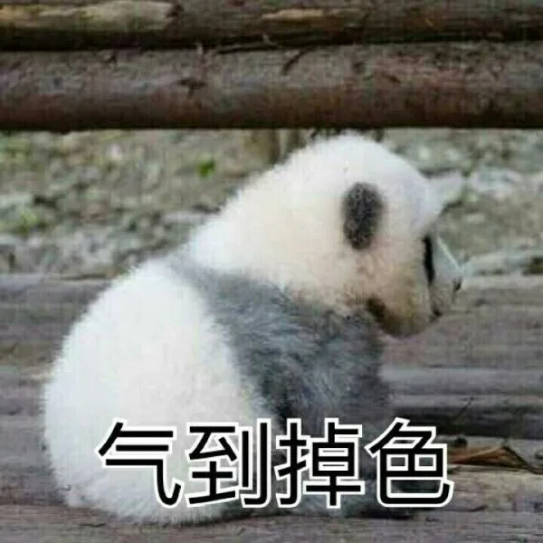 大熊猫系列_大熊猫_萌萌哒