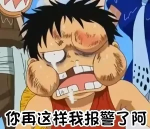 你再这样我报警了啊（海贼王）