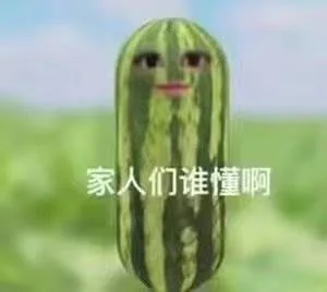 家人们谁懂啊（家人们谁懂啊）