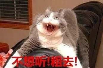 不想听！粗去！