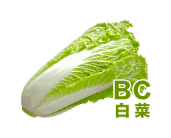BC（白菜）
