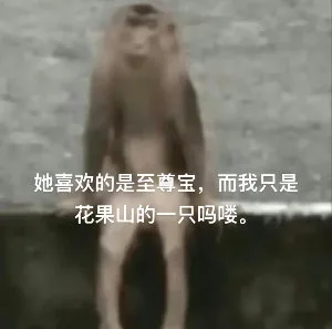 她喜欢的是至尊宝，而我只是花果山的一只吗喽。（她喜欢的是至尊宝，而我只是花果山的一只吗喽。）