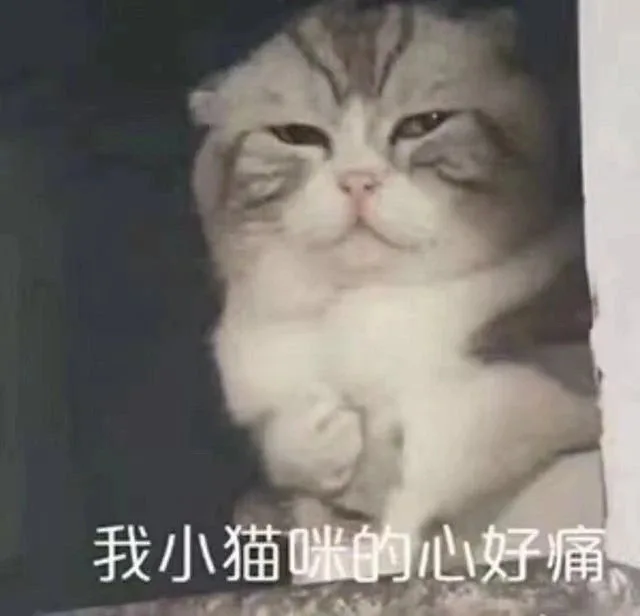 我小猫咪的心好痛（我小猫咪的心好痛）