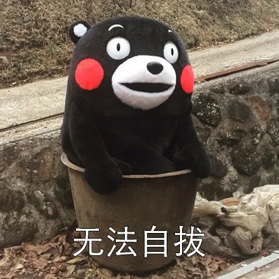 无法自拔（无法自拔）