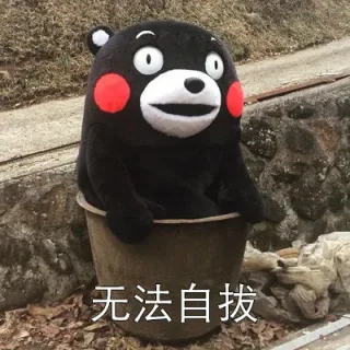 无法自拔