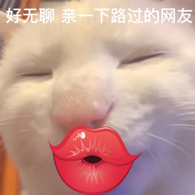 好无聊亲一下路过的网友