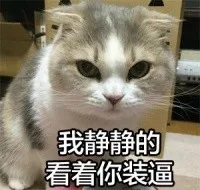 我静静看着你装逼（我静静看着你装逼）