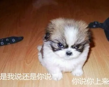 是我说还是你说，你说你上来